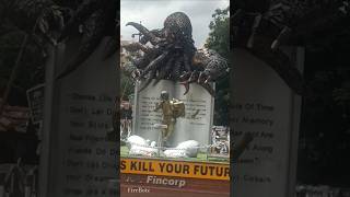 Giant Octopus Chases Child #shorts #viral