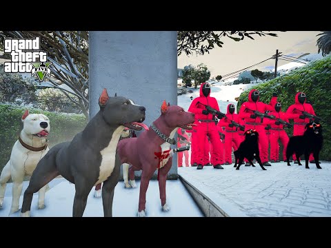 CANAVAR PİTBULL MONSTER AİLEMİZE SIĞINDI! PEŞİNDEKİLER KİM? - GTA 5