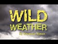 Understanding Weather and Storm Safety
