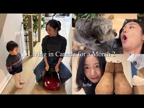 VLOG💚 Living in Canada for a Month | Week 3 | Happy New Year