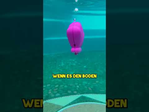 Er Hat Das Beste Spielzeug Der Welt Gekauft ❤️