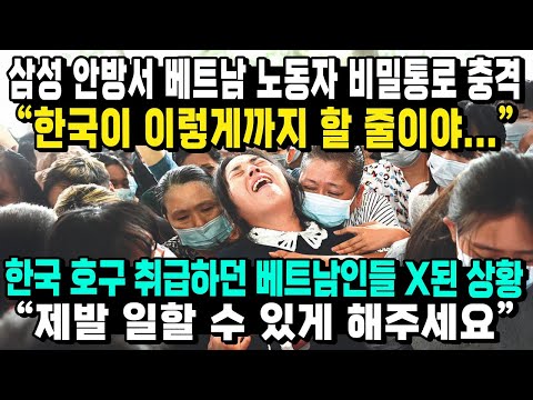 삼성 안방서 베트남 노동자 비밀통로 충격 “한국이 이렇게까지 할 줄이야...” 한국 호구 취급하던 베트남인들 X된 상황 “제발 일할 수 있게 해주세요”