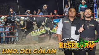 ¡TRAE LA MISMA SANGRE QUE EL GALÁN DE LOS ARTISTAS! Los Toros Mezcaleros de R Reserva 55