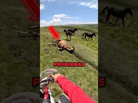 Este Motociclista Se Convirtió En Un Héroe Sin Capa ❤