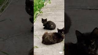 double trouble