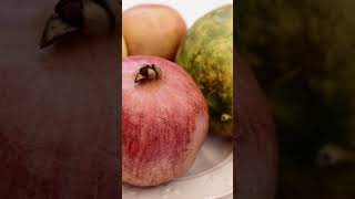 Sukkot - ein Fest für alle Völker