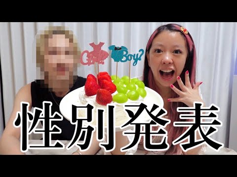 お腹のココッティの性別が分かりました‼️
