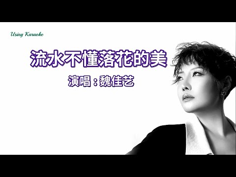 流水不懂落花的美-魏佳艺-伴奏 KARAOKE