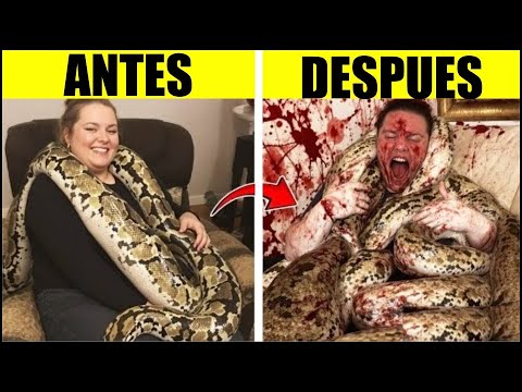 15 Personas Que Accidentalmente Adoptaron A Mascotas Salvajes