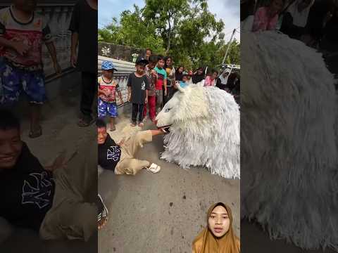 Maunya makan bocil #barongan #dramacanmacanan #barongsai #canmacananofficial #animals #macan #funny