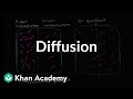 Understanding Diffusion and Concentration Gradients