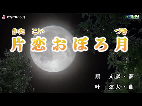 竹川美子【片恋おぼろ月】カラオケ