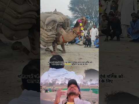 इंसान खिलौना होगैल#trending #viralvideo #shortfeed #shortsfeed #viralshorts #trending #youtubeshorts
