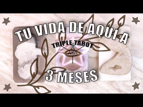 Tu vida de aquí a 3 meses 🙀✨🧿Tarot interactivo atemporal