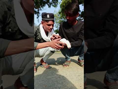 Kabutar ka sathi mr gya 😱😥🕊️ #pigeon #shorts #viral #youtubeshorts #short