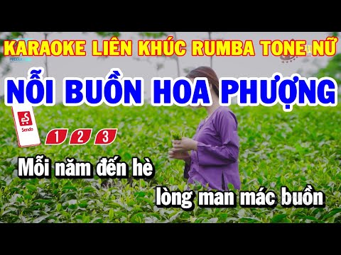 Karaoke Nhạc Sống Liên Khúc Tone Nữ Trữ Tình | Nỗi Buồn Hoa Phượng – Hai Lối Mộng