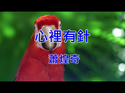 【KARAOKE PAPA】蕭煌奇-心裡有針 (Midi伴奏 KTV) 男聲Gm