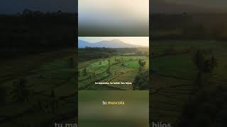 Meditación Guiada  Encuentra la Calma y Gratitud Ahora