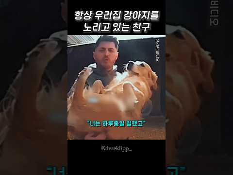 항상 우리집 강아지를 노리고 있는 친구