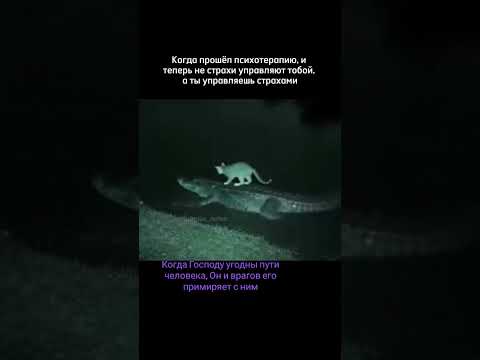 #божья #милость #ривкаткаченко #истина #божья #вера #левиофан #любовь #вавилон #вера #благоволение