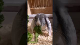 Herzlich willkommen ihr zwei ❤️ #bignews #neuesfamilienmitglied #momlife