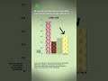 Environmental Impact of Milk Alternatives