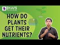 Plant Nutrients and Their Importance