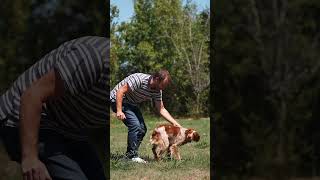 TEASER #11 Wine (Wo)man Show   #vin #vignoble #tradition  #agriculture #podcast