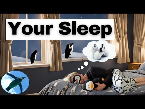 Your SLEEP 💤😴🐧