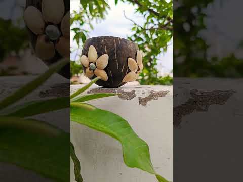 Best out of waste from coconut shell and pista shell #Diy #craft #ytshorts