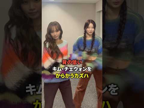 背の低いキム・チェウォンをからかうカズハ [Lesserafim] #shorts