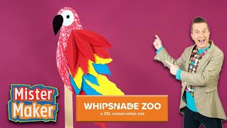 Craft a Parrot 🦜 Mister Maker at Whipsnade Zoo! 🐘 🦁