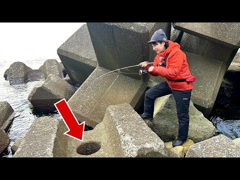 消波ブロックの「この穴」・・・絶対いる!!