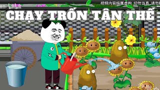 (FULL) CHẠY TRỐN TẬN THẾ | dung cúc