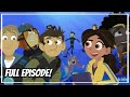 Animal Facts and Mysteries
