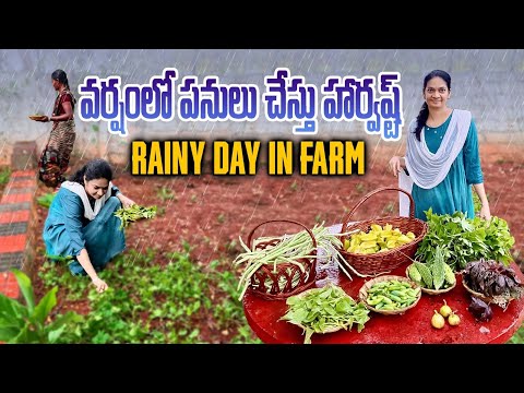 Farm Day/ఇన్నేళ్ల అనుభవంలో ఇవి తెలుసుకున్నాను @MADGARDENER #garden  #plants
