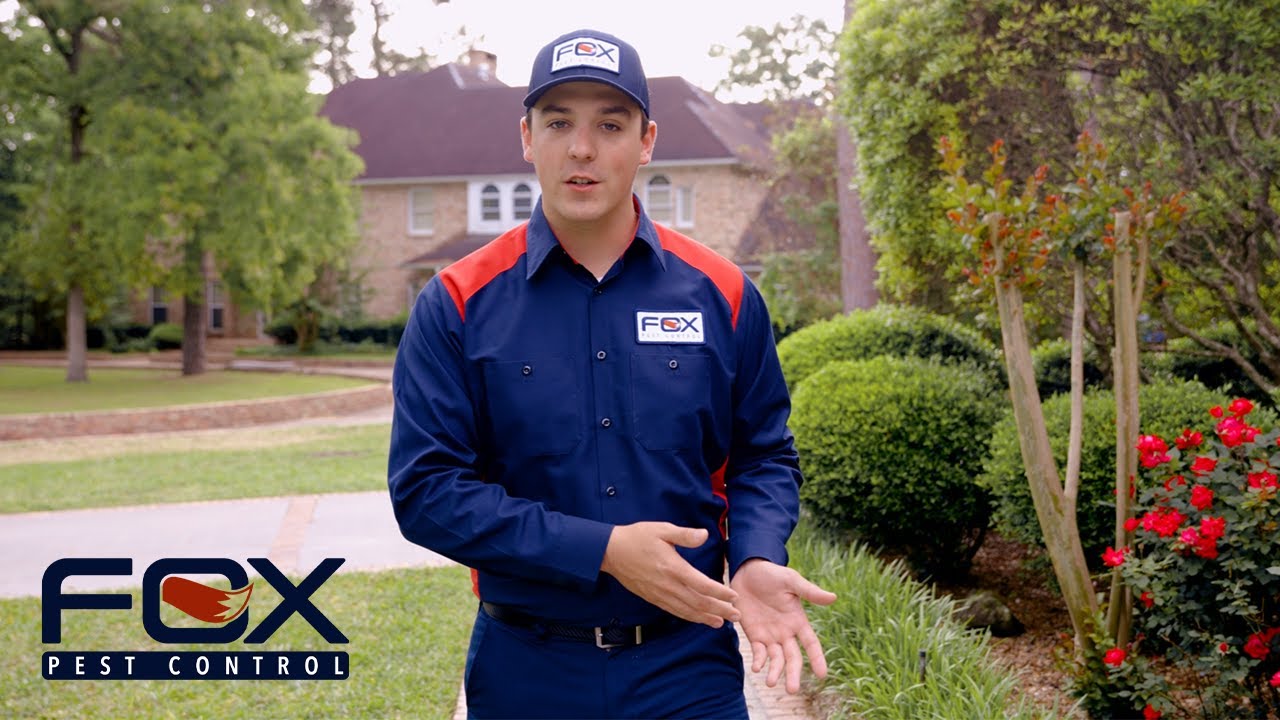 Why you should choose Fox Pest Control in Lexington
