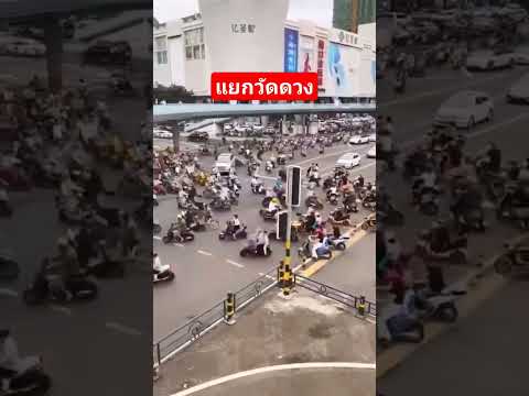 หมดปัญหาติดไฟแดง #หมีไม้กั้น #ตลก #ของแทร่ #เมร่อน #แยกวัดใจ #รถติด #ไฟแดง