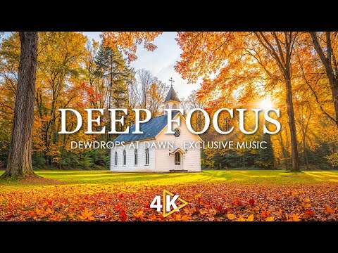 Dewdrops at Dawn | 4K Video Nature - Focus Music