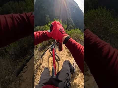 Crazy Bike Encounter 😨