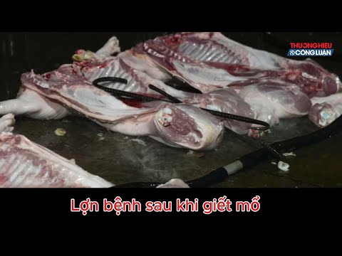 Hàng giả thực phẩm bẩn - Nỗi lo người tiêu dùng