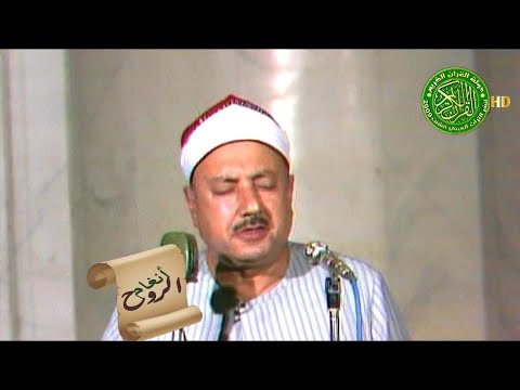 ابتهال نادر من الروائع الجميلة - الشيخ محمد الطوخي - يحن الي ارض الحجاز فؤادي