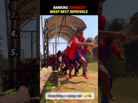 Ranking Funniest Wasp Nest Removals ๐