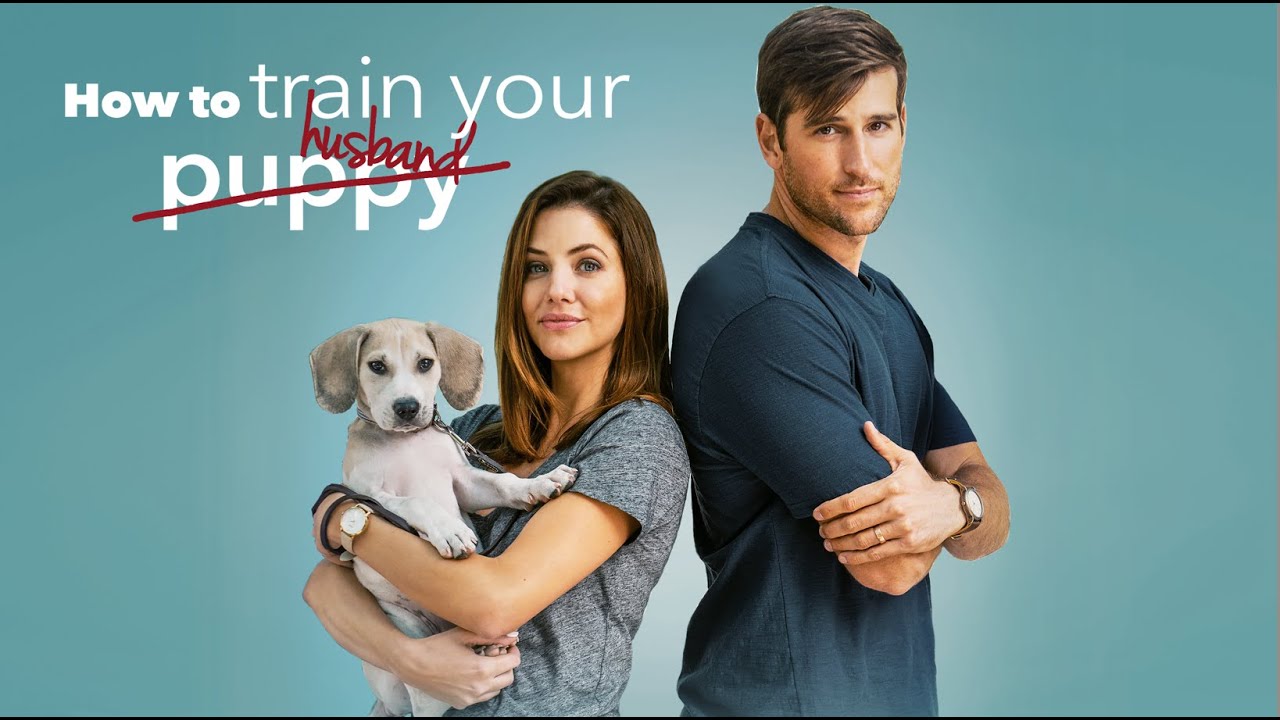 How to Train Your Husband Trailer thumbnail