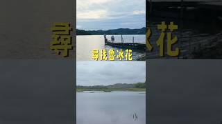 尋找魯冰花電影場景