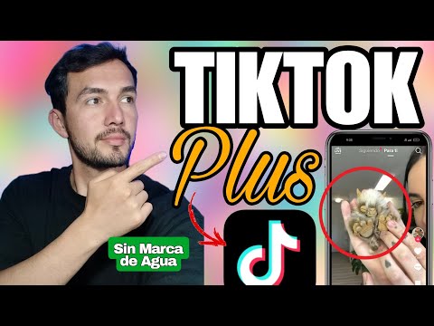 TikTok Plus Última actualización 2024 ⚡