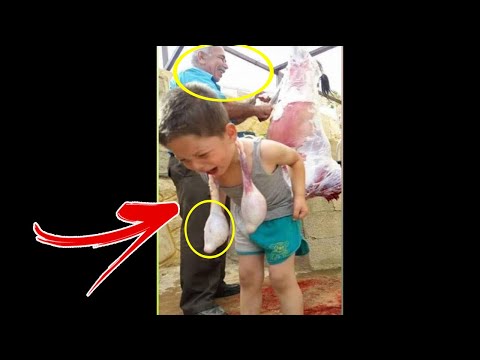 اذا اكلت هذا الشئ من أضحية العيد هل تعرف ما سيحدث لك ؟
