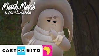 It's a Challenge | Mush Mush &The Mushables | Cartoonito Africa