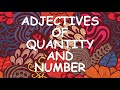 Adjectives of Quantity and Number