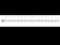 Understanding the Transcript